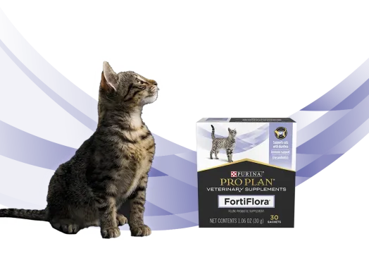Purina Pro Plan Veterinary Supplements | Purina Singapore